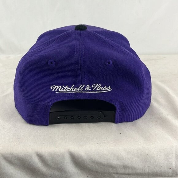 Mitchell & Ness Raptors Purple Fabric NBA Hardwood Classics Cap - Picture 3 of 8